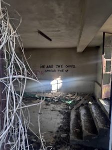 2963d-img_20210829_173256