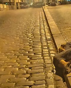 96ada-img_20200812_053411