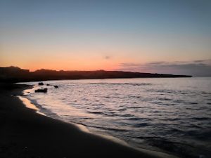 d7109-img_20210820_195532